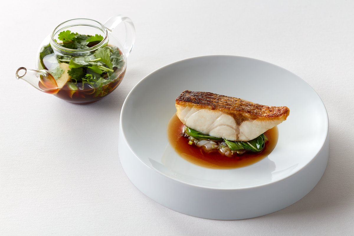 Sea bass - Asian broth – Squid

@ferneryrestaurant <a href="/douglasbalish/">douglas balish</a>