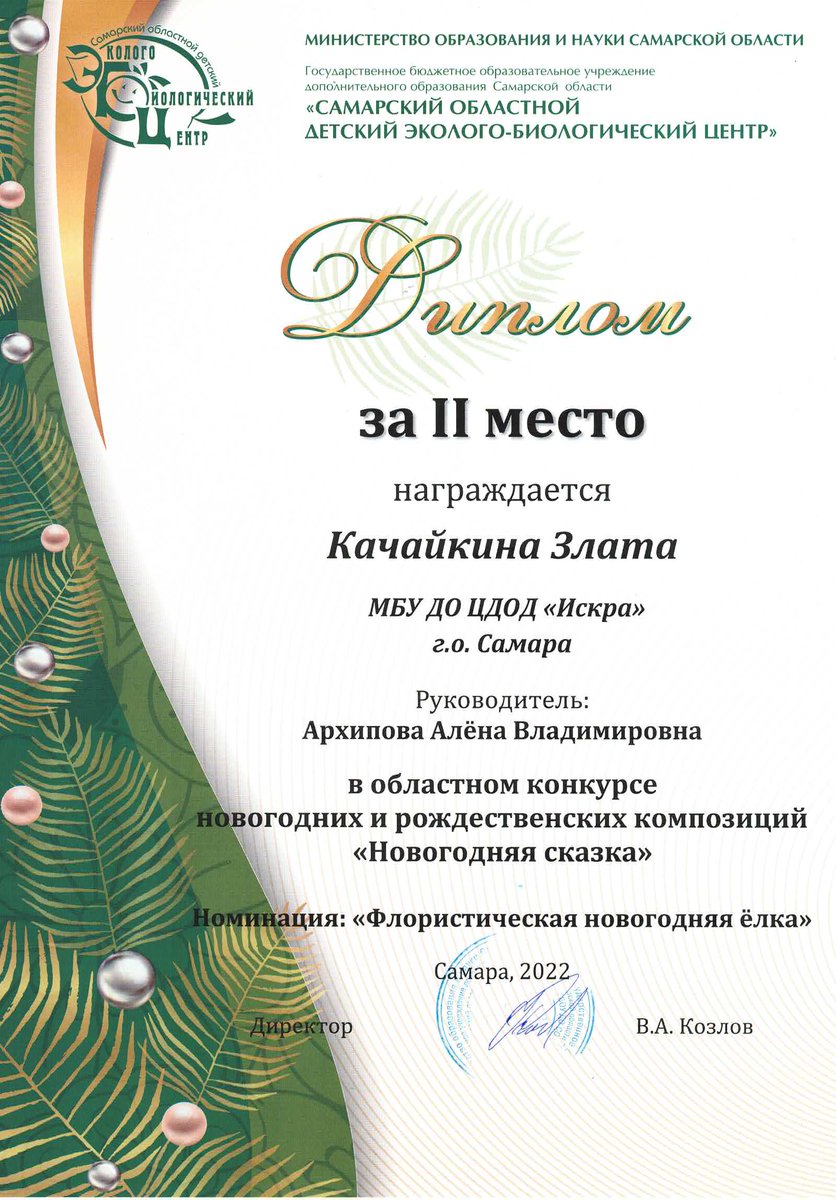 ЦДОД Искра г.о. Самара tweet media