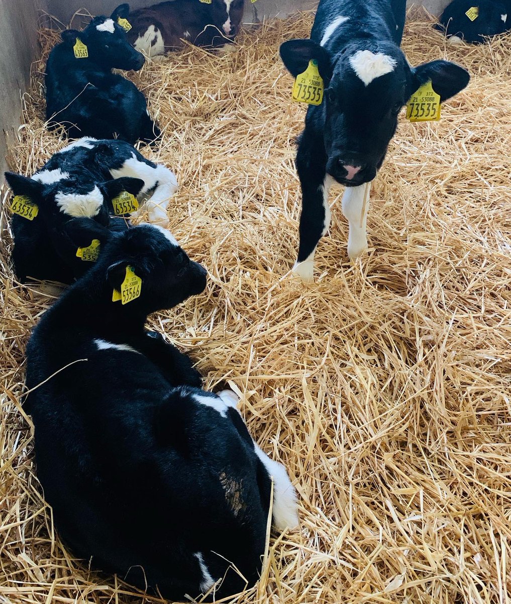 The Orchard Centre tweet media