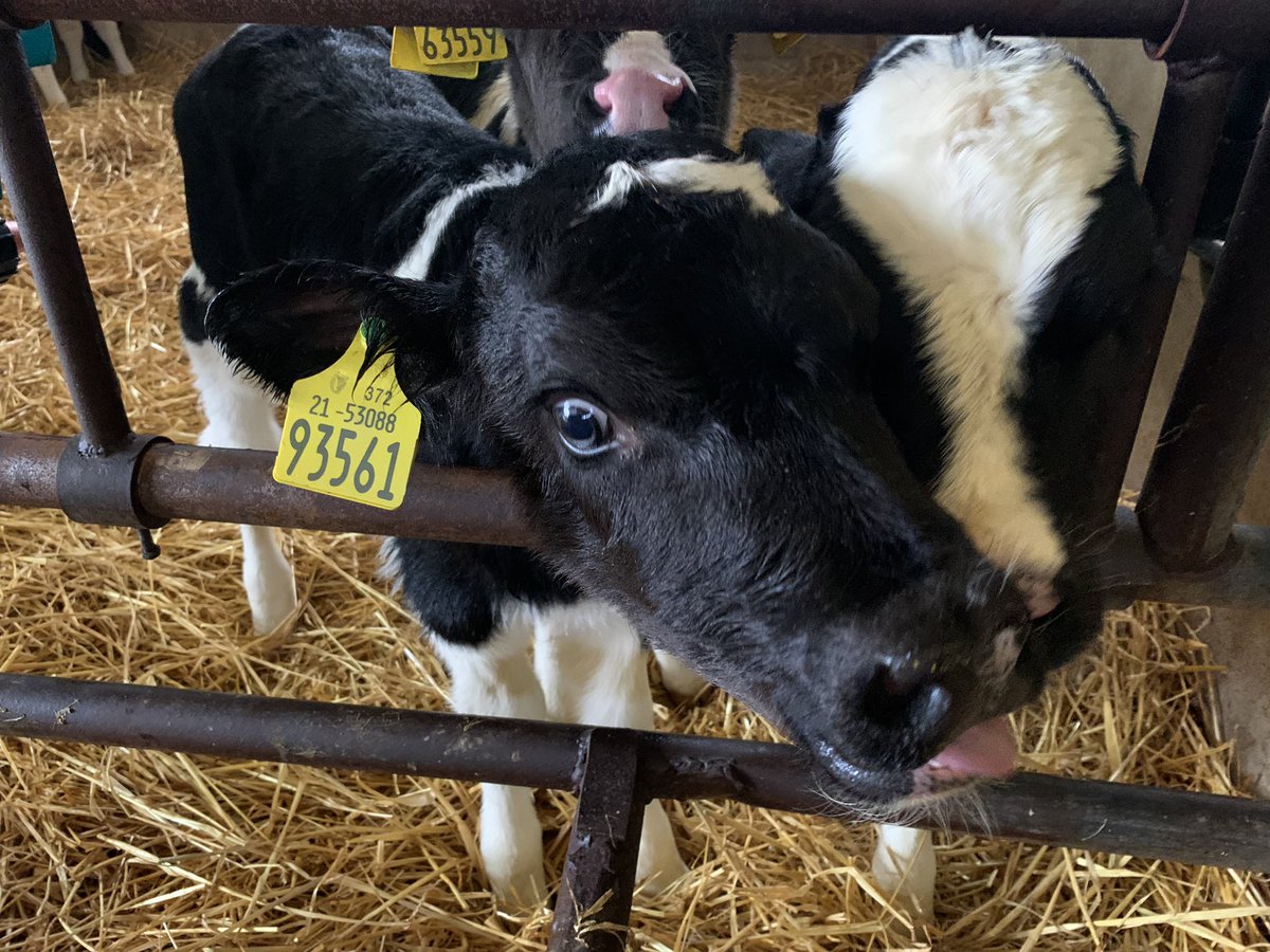 The Orchard Centre tweet media