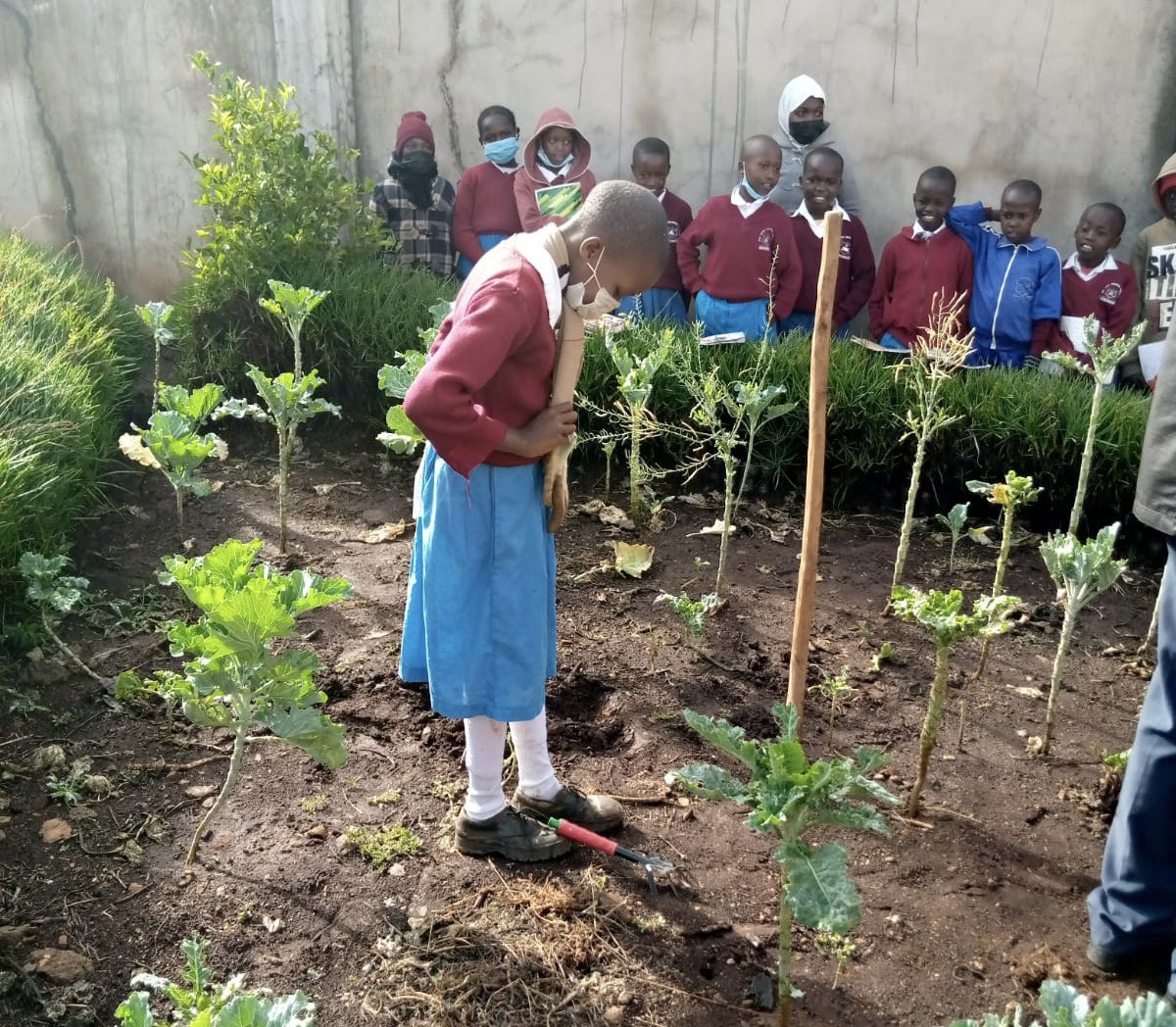 PolkadotLibrary tweet media