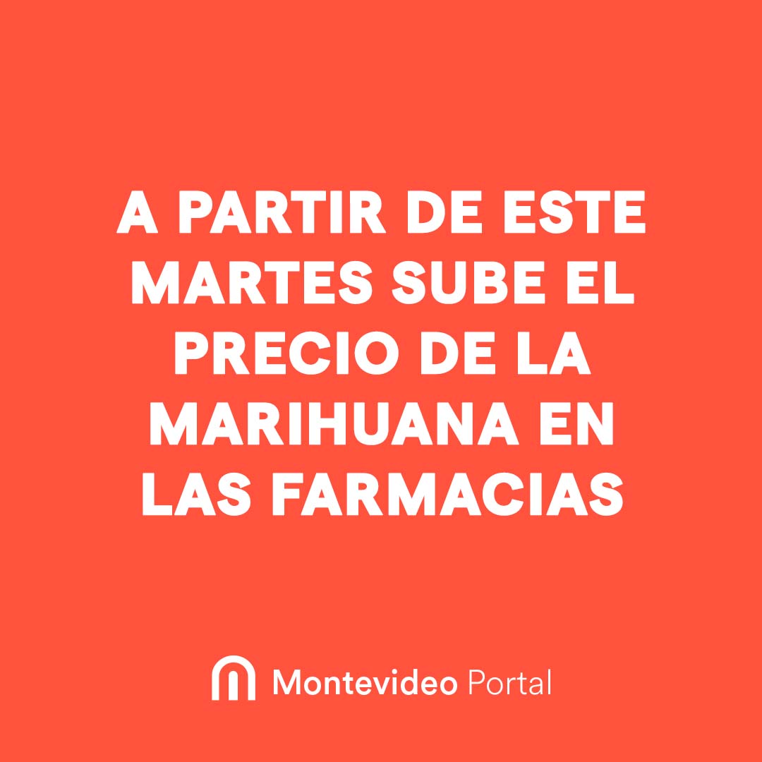 portalmvd's tweet photo. A PARTIR DE ESTE MARTES SUBE EL PRECIO DE LA MARIHUANA EN LAS FARMACIAS

El cannabis para uso recreativo se pasará a comercializar a $ 390 el paquete de cinco gramos. https://t.co/B6xuyp706s