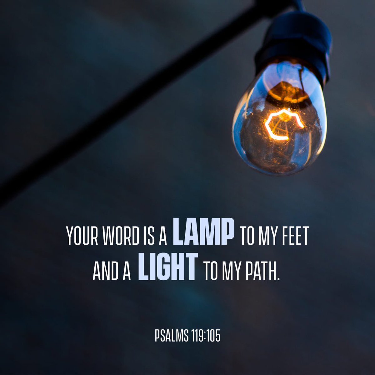 tjmcamis's tweet photo. Gods word is my lamp, my roadmap, my Pilot’s checklist! Let us not take flight today without the guidance of Gods word!#Success2022 https://t.co/BDYh7qRA9o