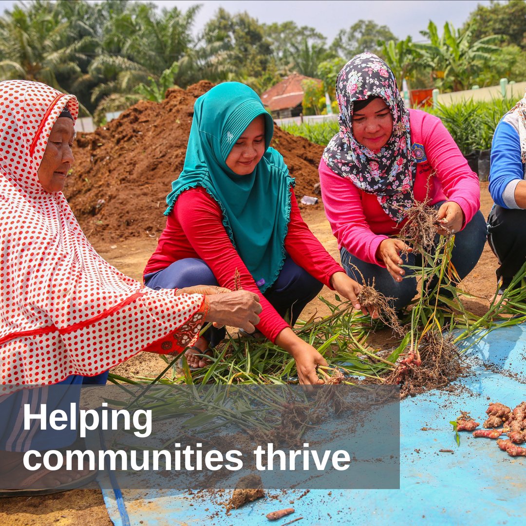 Partner Inspiring Stories
@AsiaPulpPaper help communities that suffer the consequences of harmful deforestation creating DMPA to support them directly.

ow.ly/4NtG50HHzT4

#societyacts #climateaction #equality #womenempowerment #stopdeforestation #makeorbreak