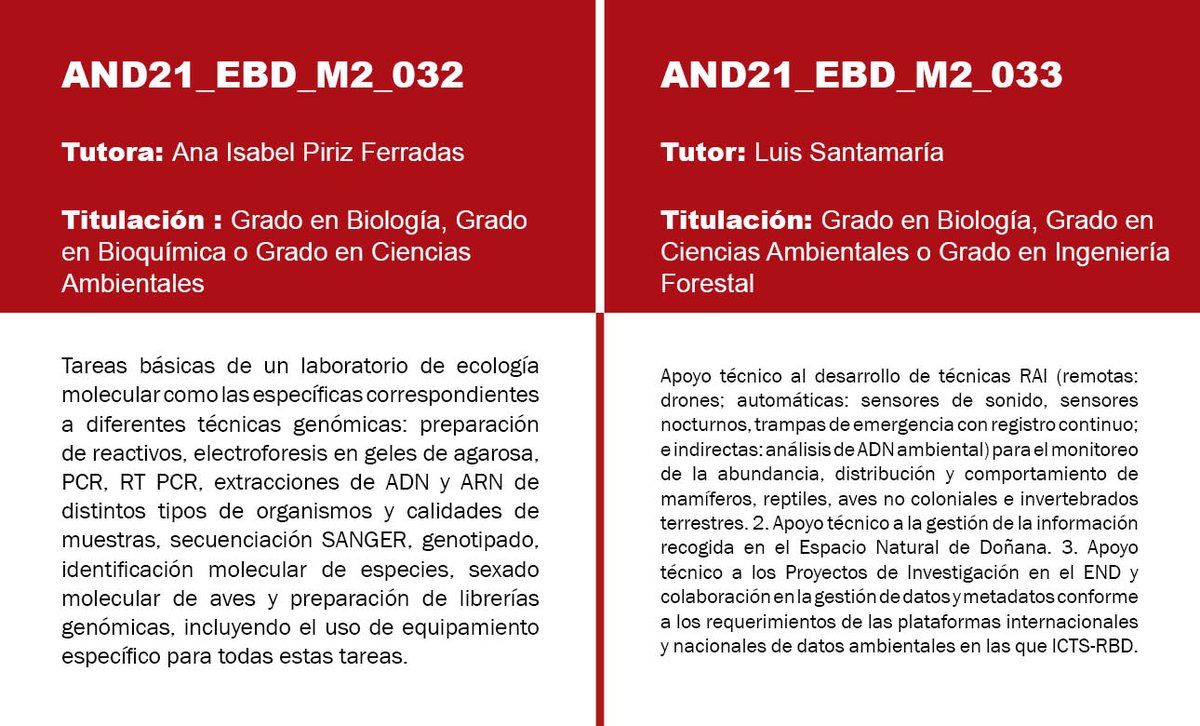 ebdonana tweet picture