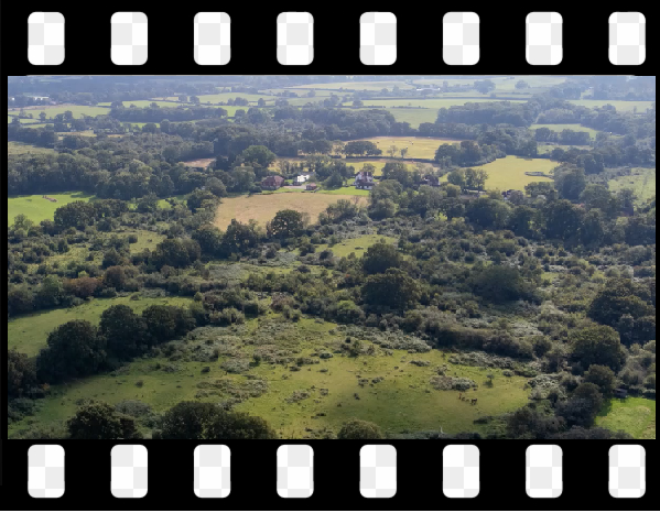 Want to see what will be lost in Burgess Hill if MSDC get their way? Check out our new film...
youtube.com/watch?v=rGdO7R…
#rewilding #brownfieldfirst #burgesshill