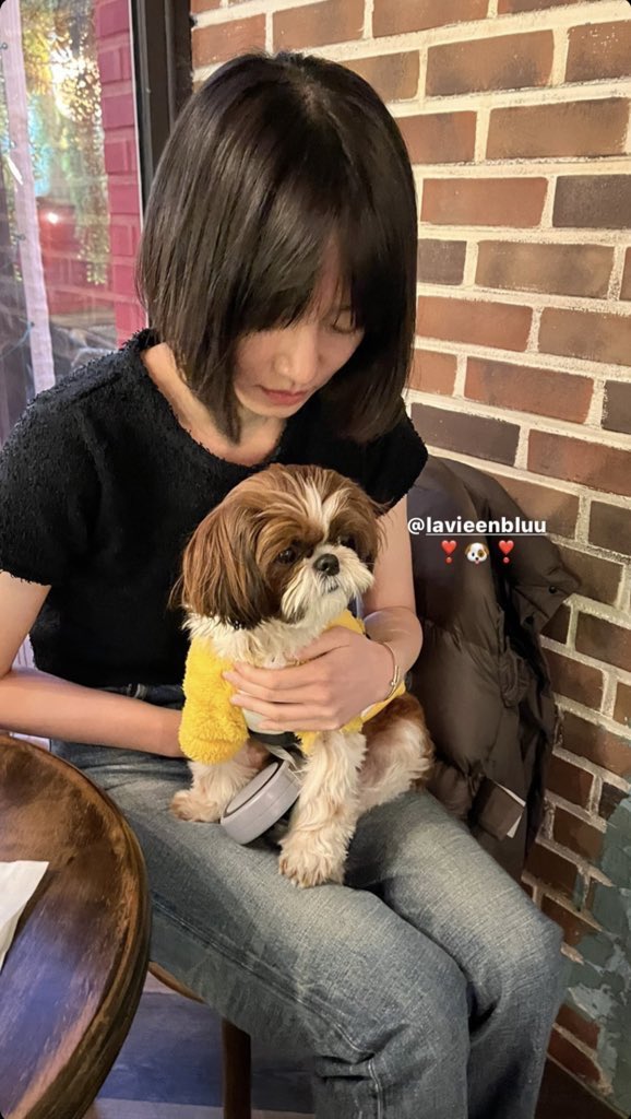 lavieenbluuge's tweet photo. 이 날씨에 반팔 입는 여자 극악무도하다 정말 https://t.co/ewW0xgOfRd