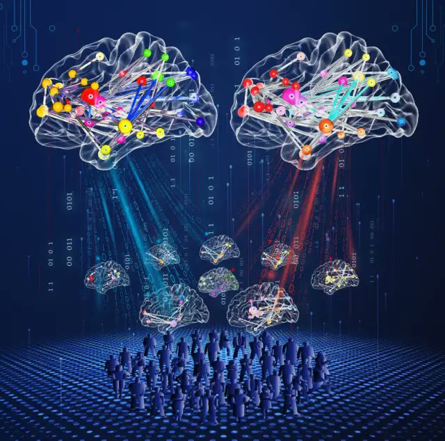 YongLiuBrain's tweet photo. Exciting to announce a new paper from YongLiuLab. 
Regional Radiomics Similarity Networks Reveal Distinct Subtypes and Abnormality Patterns in Mild Cognitive Impairment… https://t.co/kNfM4O6etI https://t.co/POTBJL0KS6