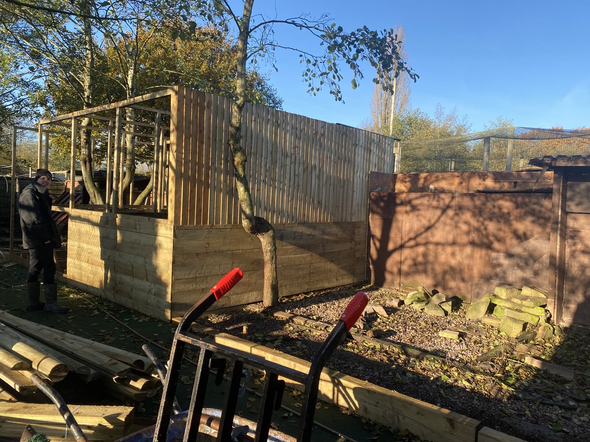 Gauntlet Birds of Prey, Knutsford tweet media