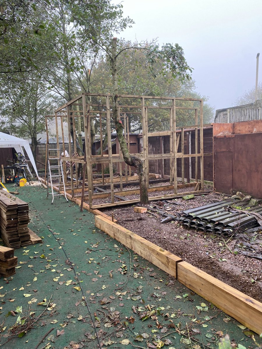 Gauntlet Birds of Prey, Knutsford tweet media