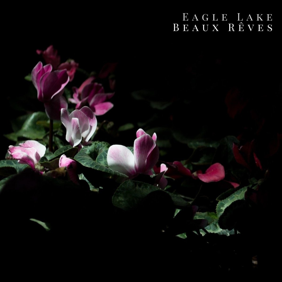 You can now license our new single "Beaux Rêves" for film, tv and video exclusively from the fine folks at <a href="/themusicbed/">Musicbed</a> 
musicbed.com/artists/eagle-…