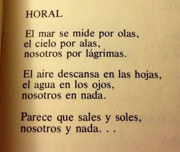 Frases de Sabines (@jaime_sabines) on Twitter photo 