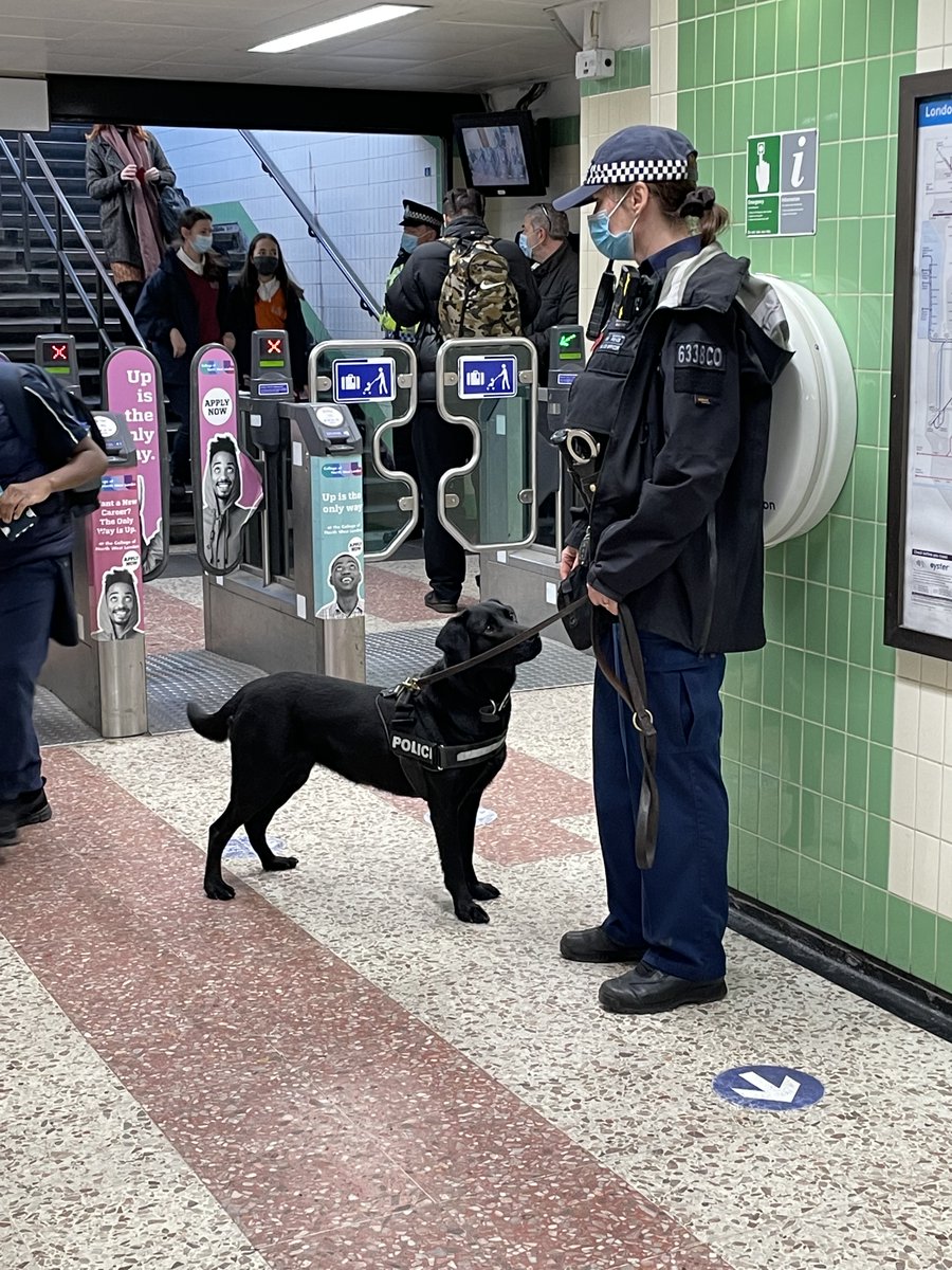 Over the past week officers from <a href="/MPSWelshHarp/">Welsh Harp Police</a> have teamed up with other units including <a href="/MetTaskforce/">Met Police Taskforce</a>. 
On multiple ops in the area.
Results include: 
22 stop and searches for drugs 
5 arrests 
3 cars seized
3 positive drug drive swipes +more!
You will be seeing more of this! 👀