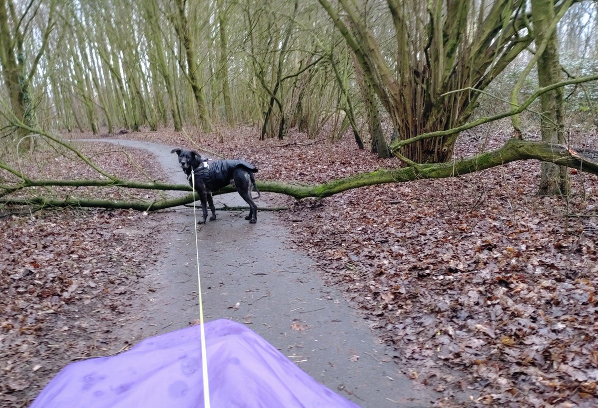 #roadblock! Pas op voor struikrovers 🙃