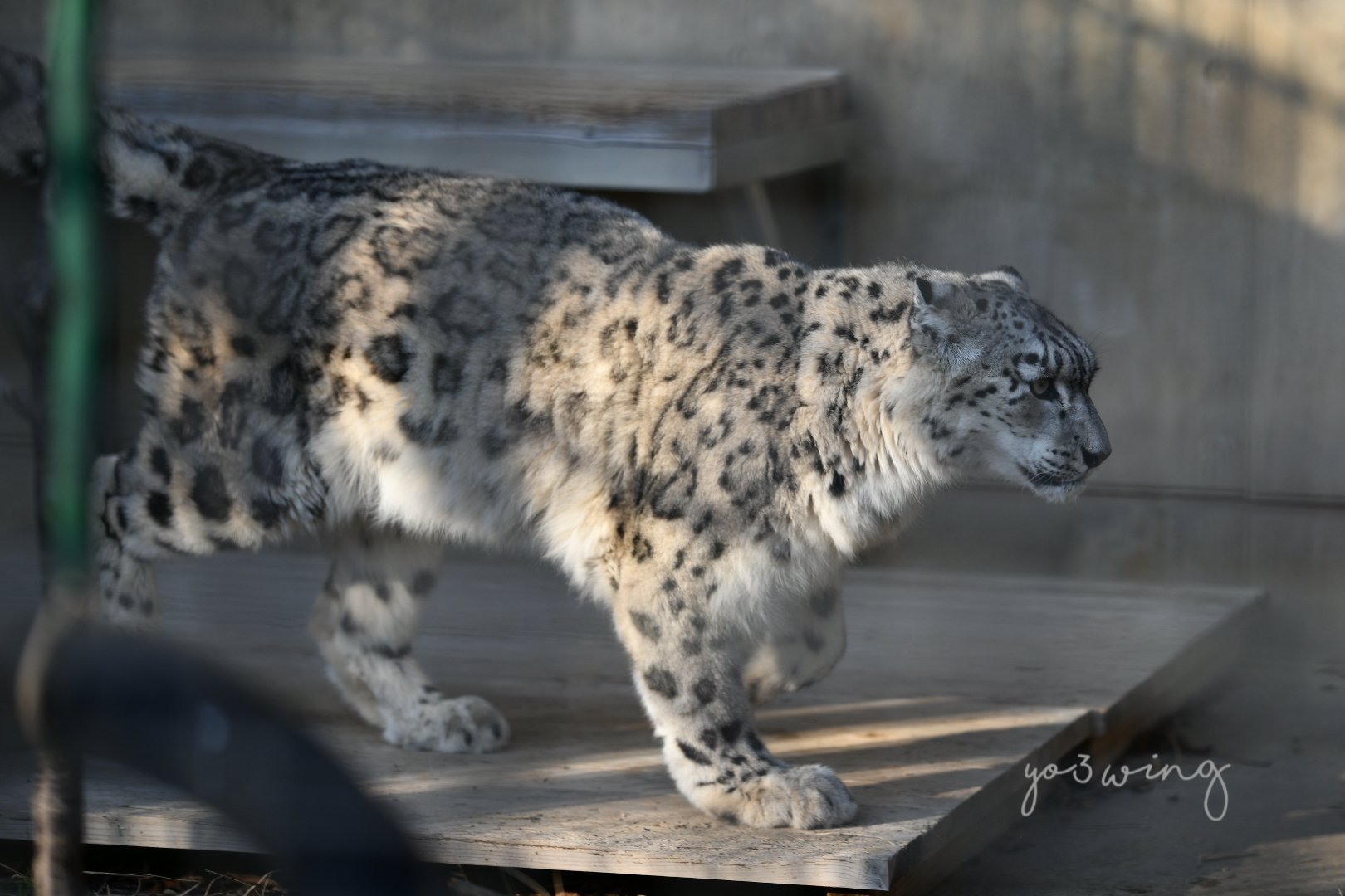 Eveの家 Sirius K3 Twitter