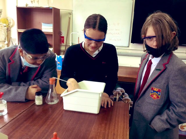 Highclare_Sc's tweet photo. Upper Thirds investigated the effect of gases on the world around us. Pressure is a complicated concept at any age, but through observation and interpretation of data these students did outstandingly well #Highclare #Science #Chemistry #Physics https://t.co/pJ0Gshpg40