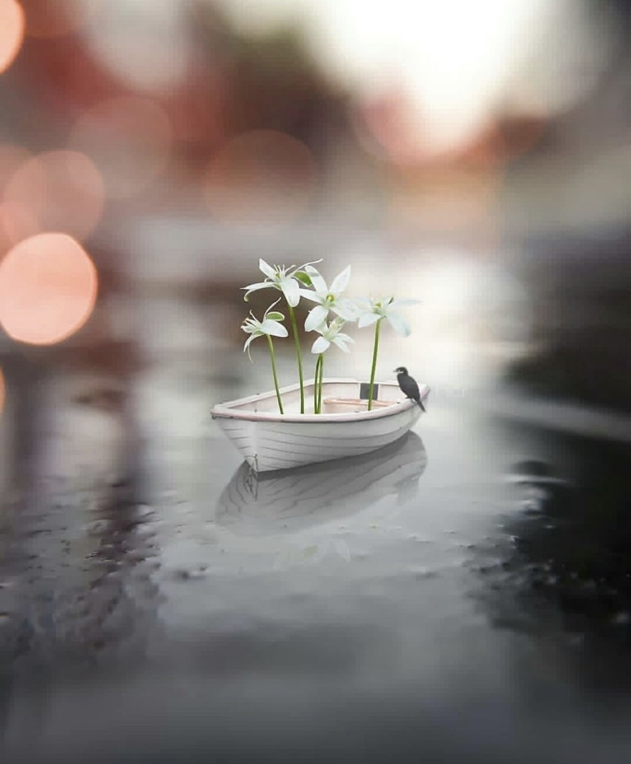 15 Miniature Photography Ideas for Amazing Toy Shots
