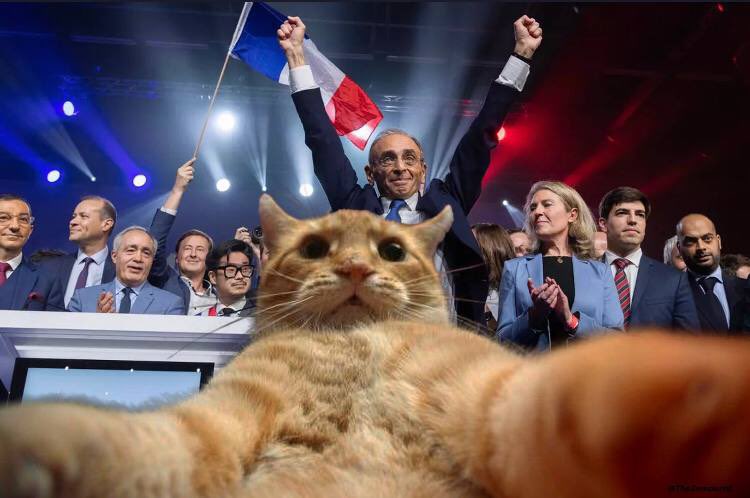 Même les chats de Marine Le Pen soutiennent Éric Zemmour.
#GenerationZemmour