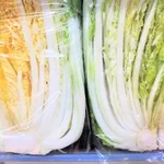 これが正しい白菜の選び方!カットされた白菜は黄色いものを選んでください!