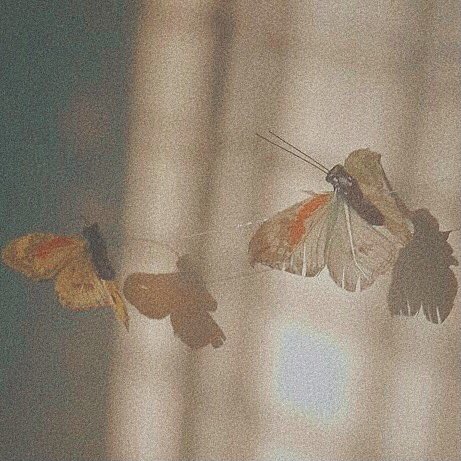 yoitmaan's tweet photo. Butterflies🦋

— nomin au —

a butterflies tickling them, for the first time. https://t.co/Lj7CJY8IYG