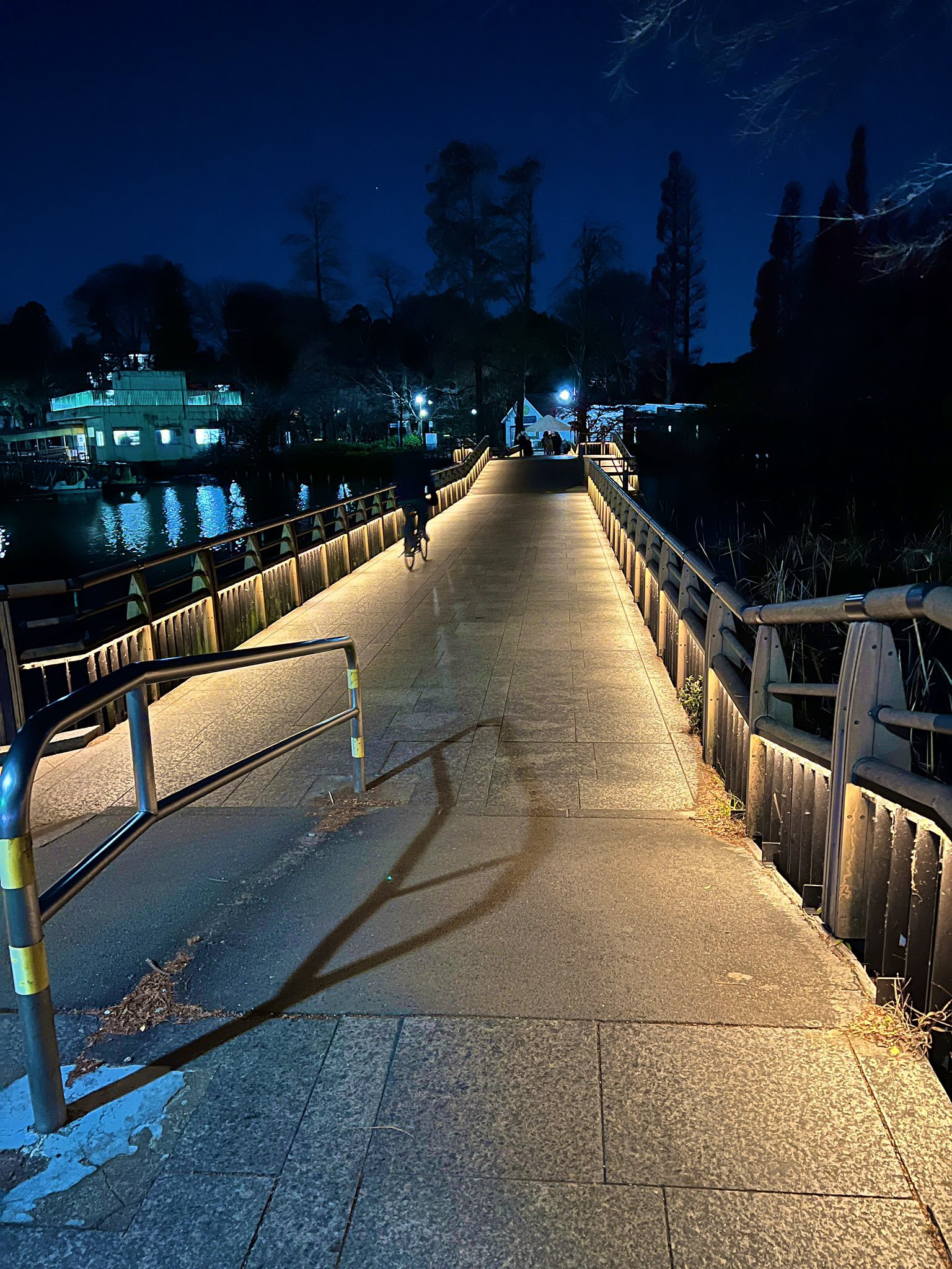 週刊きちじょうじ Al Twitter 夜の井の頭公園もキレイだなって思います 寒いけど少しお散歩してました さくま 井の頭公園 夜景 吉祥寺 七井橋 T Co Mkopki7t5k Twitter