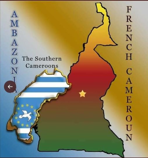ambafreedom4's tweet photo. @africatechie @WillMunji #Ambazonians have learned the truth regarding their identity. And when you know the truth, the LORD JESUS said, it will set you free. #Ambazonians are mentally free, that's why we fight, so that the next generation does not go through what we went through and are going through. https://t.co/3CLs8lthsM