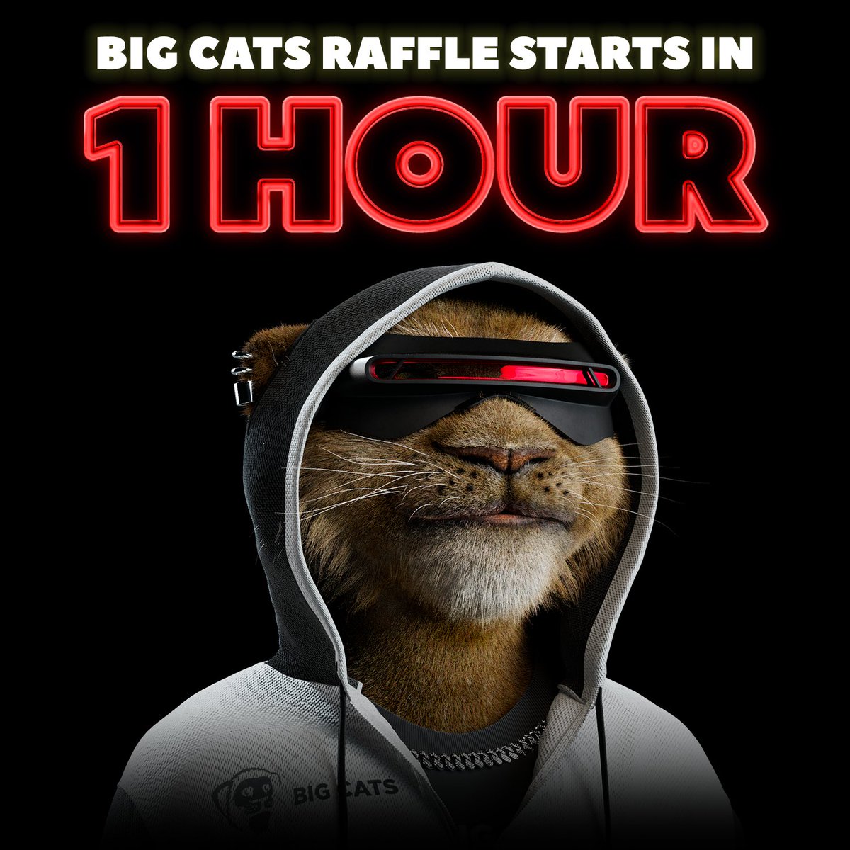 8Lives tweet media
