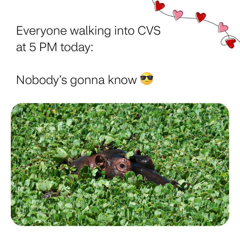 cvspharmacy's tweet photo. Last-minute #ValentinesDay gifting adds to the charm, right?