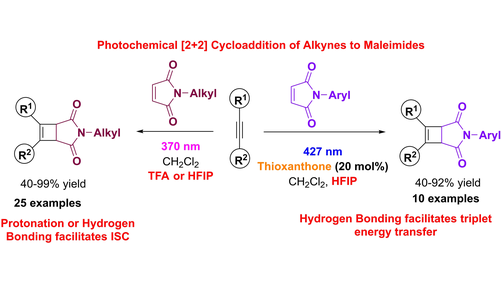 Hexafluoroisopropanol-Promoted or Broensted Acid-Mediated Photochemical [2+2] Cycloadditions of Alkynes with Maleimides (<a href="/KokotosCG/">Kokotos CG Research Group</a> and co-workers <a href="/uoaofficial/">University of Athens</a> <a href="/NikolSpl/">Nikoleta Spiliopoulou</a> <a href="/nikosnikitas/">nikos nikitas</a> <a href="/GKI13/">西場弘治</a>) onlinelibrary.wiley.com/doi/10.1002/cs…