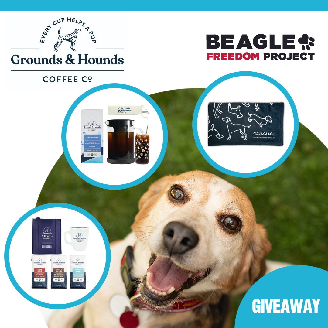 dog toothbrush instagram