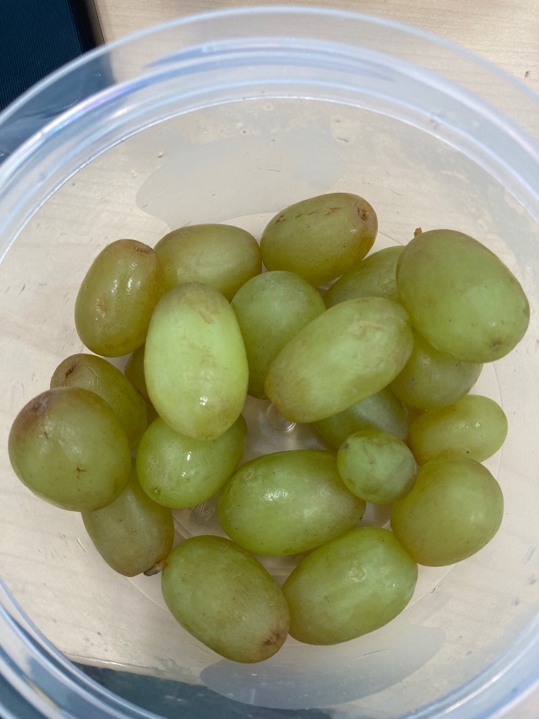 librarianjill's tweet image. Today I have a mostly #SadDeskLunch but at least I have these sweet cold green grapes to start #FreshFeb.