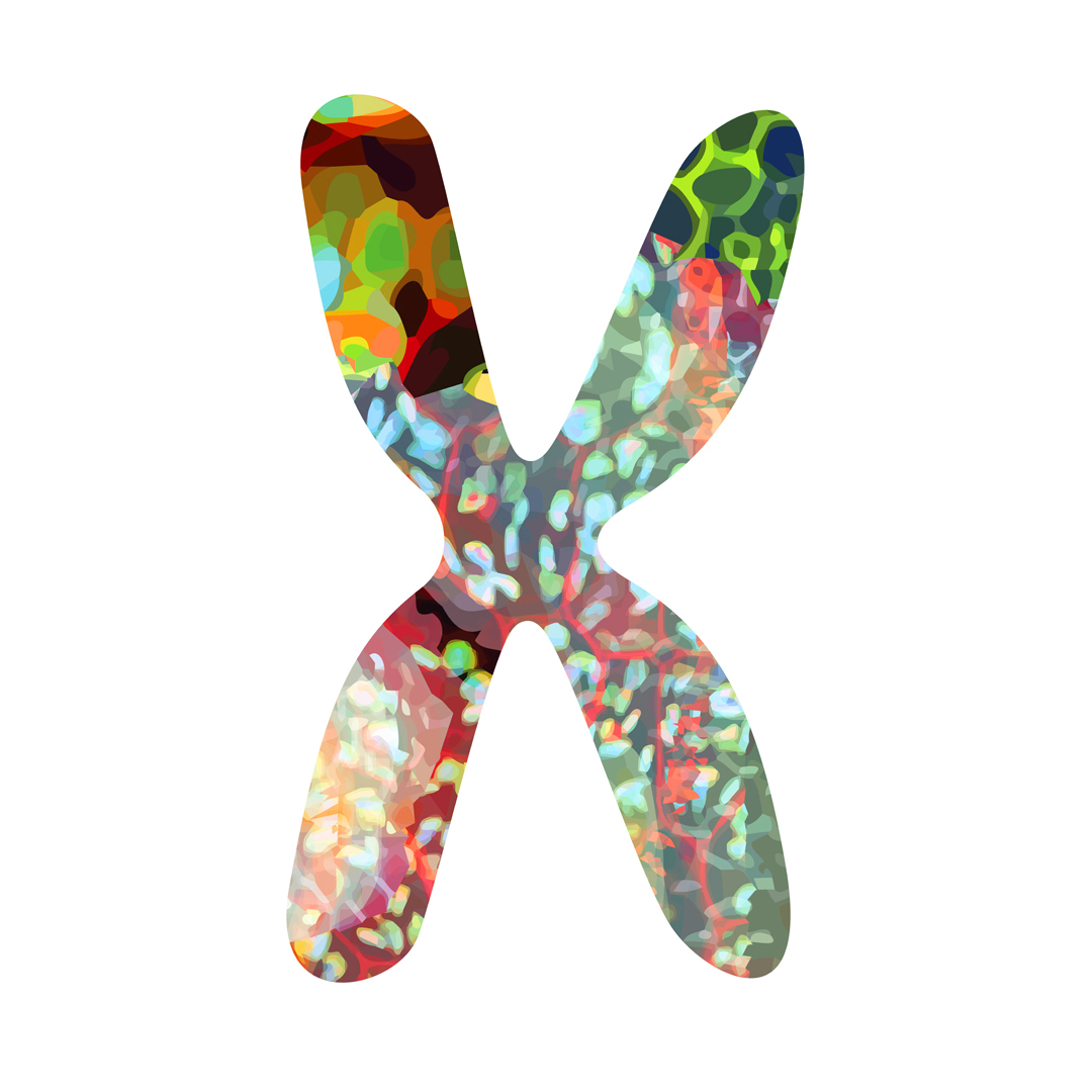 phenochroma's tweet photo. Phenochroma #93

#life #human #unity #oneofakind #singular #different #perfect #evolution #unique #together #love #science #art #visual #color #colors #print #printdesign #nft #nftcollector #artcollector #collectible #collection https://t.co/LPTgChtSbJ