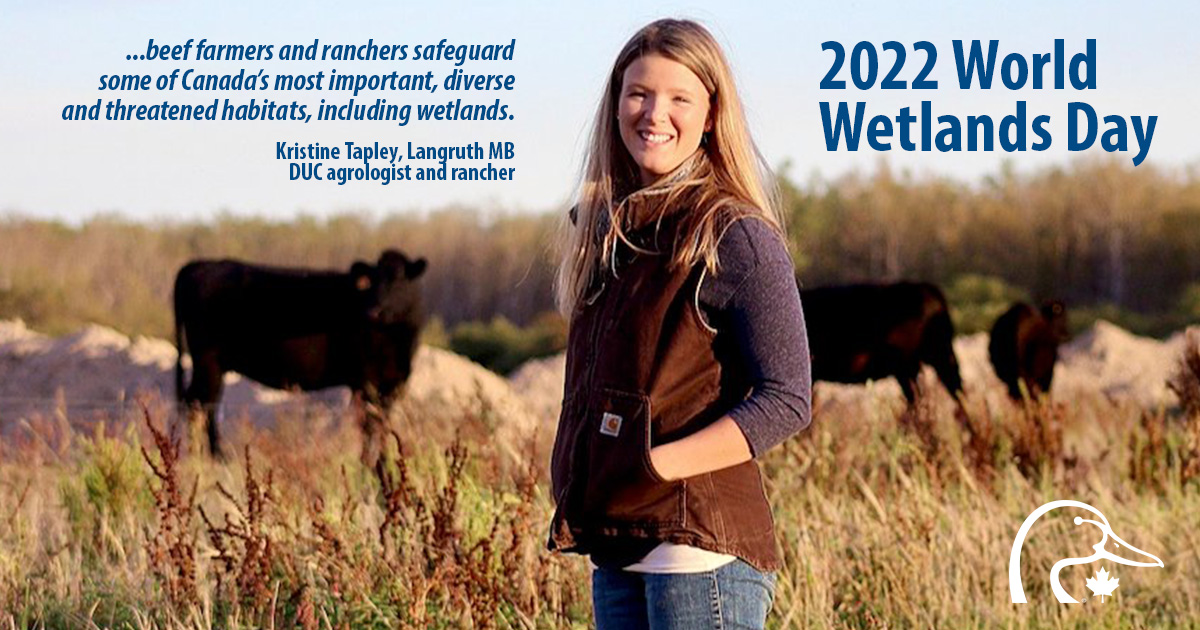 On World Wetlands Day, remember that natural ponds, sloughs and grasslands are a powerful defense against climate change. Manitoba rancher and DUC agrologist Kristine Tapley says it best:  
canadiancattlemen.ca/news/opinion-w…