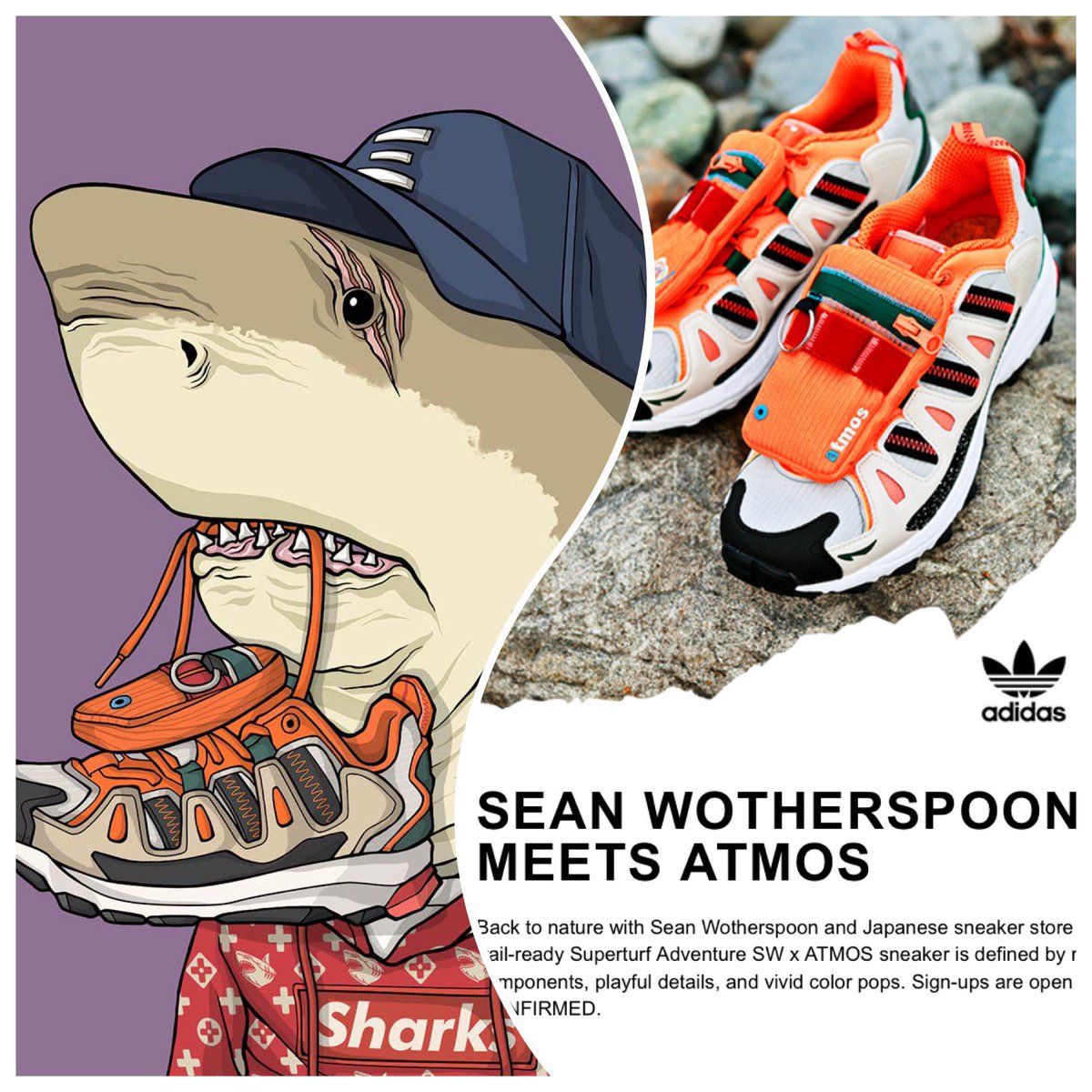 @thepredcollective tweet media