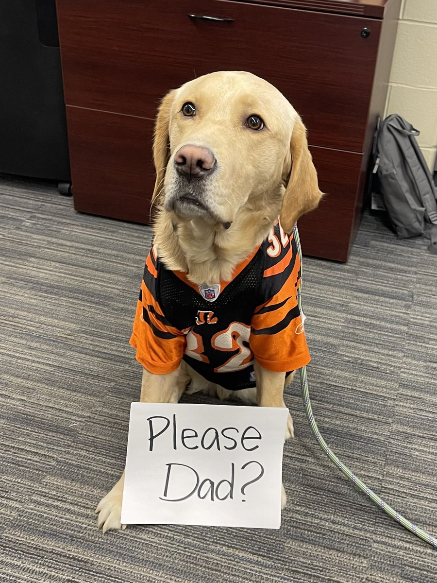 It’s Bigg’s DEY at <a href="/HeritageECS/">Heritage Early Childhood School</a> 🧡🖤#heritagehasheart #RuleTheJungle #showyourstripes #WEareLakota