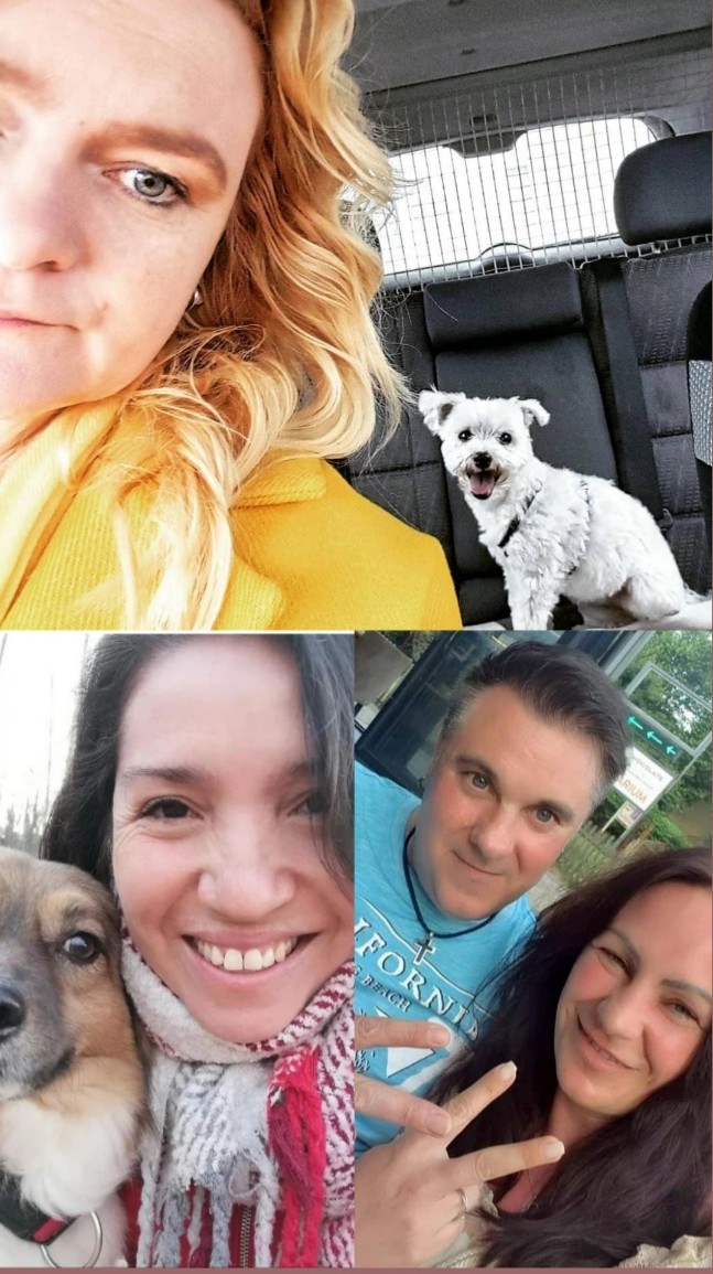 Wir sagen noch mal vielen Dank an die #Fressnapf Kunden in #Mörfelden für diese vielen Karten und die Spenden.
MenschundTierhilfe.de 
facebook.com/groups/Menschu…