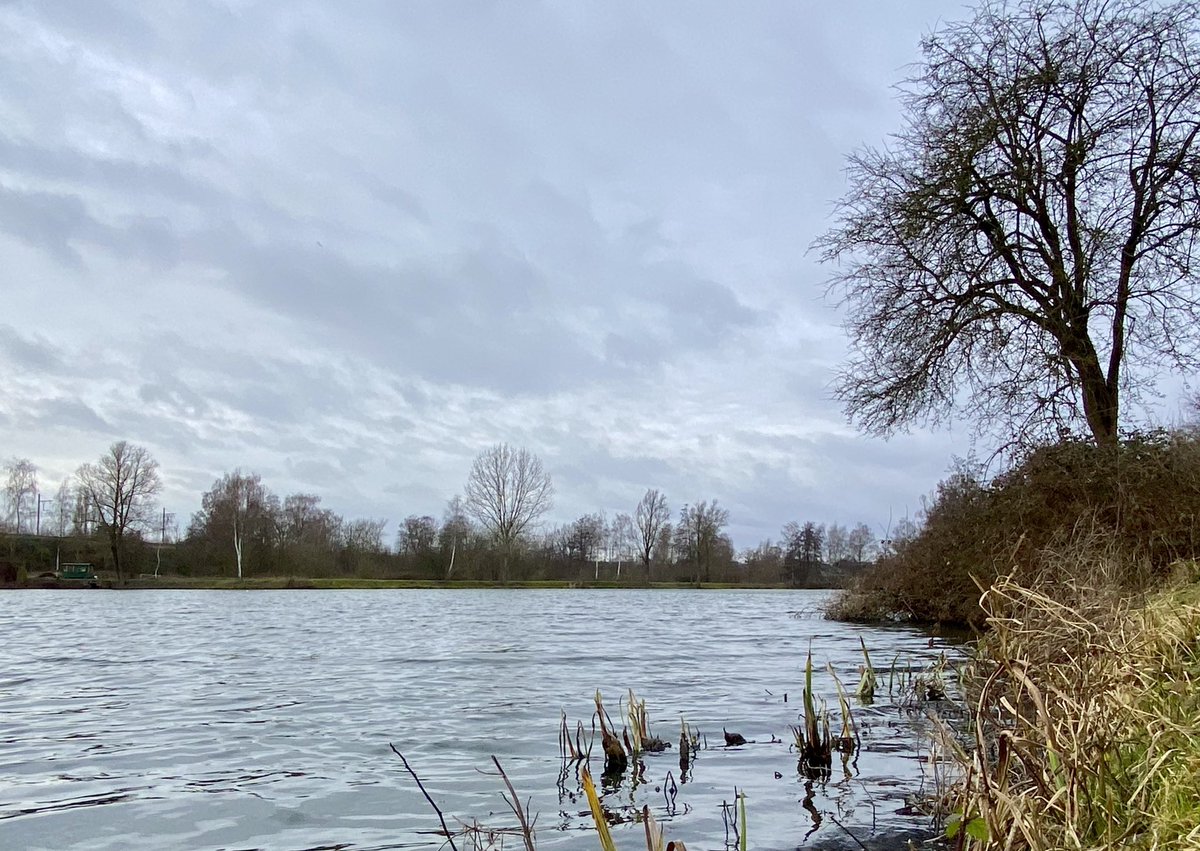 HendrikRemue's tweet photo. #vrtweer @Weerbord @MeteovistaBe @HendrikRemue 
Melle/Kouterslag, 01/02, 14.45, ☁️, https://t.co/tfhnMJB03F