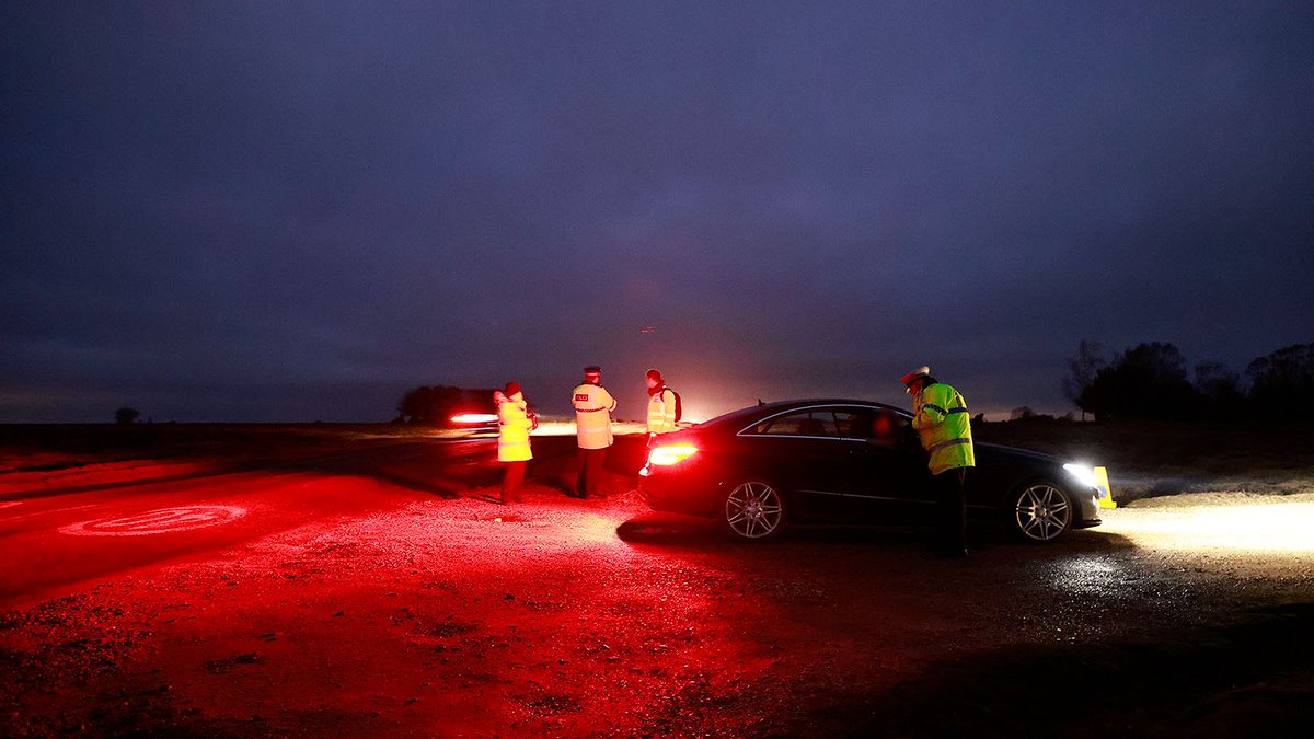 The New Forest - Forestry England tweet media