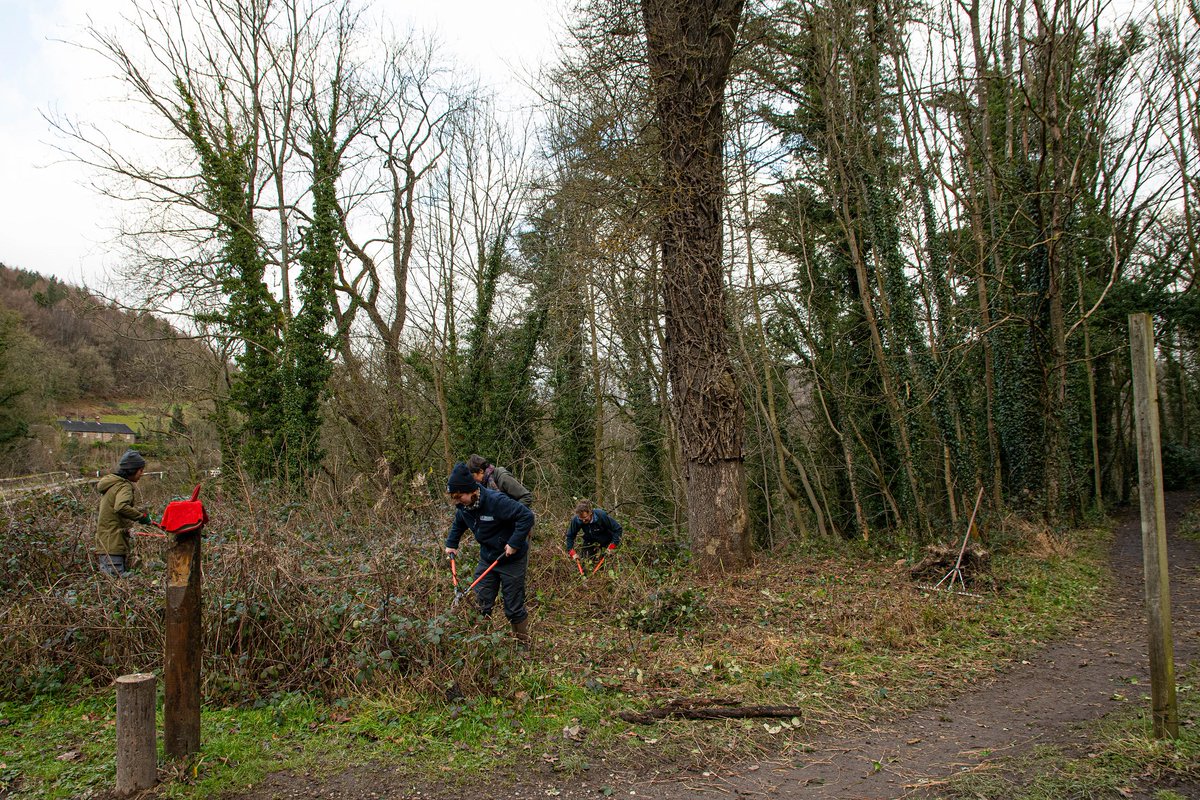Our Kickstarter Living Landscapes Support Officer, Ella, and hardworking volunteers last week at Aqueduct Cottage! Preparing the ground for the thinning of a tree with ash dieback.

You can learn more about ash dieback in our podcast episode number 7: derbyshire-wildlife-tru.captivate.fm/listen