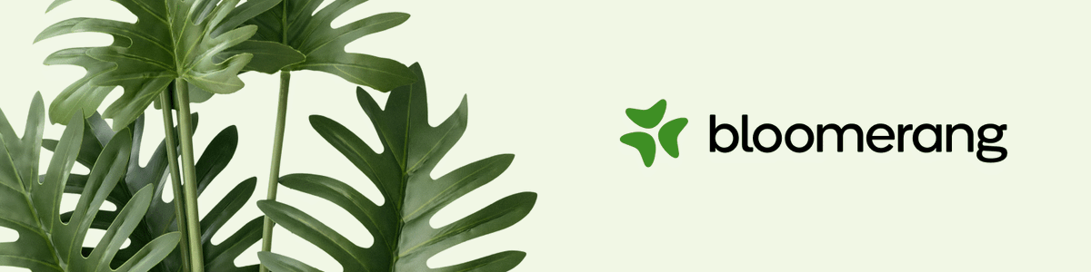 bloomerangTech's tweet photo. BIG NEWS! The Bloomerang team has some exciting updates. We've been hard at work refreshing our visual identity, mission, vision, and values. Take a look! https://t.co/G3ZMNpnER7 https://t.co/MRLnfjKryV