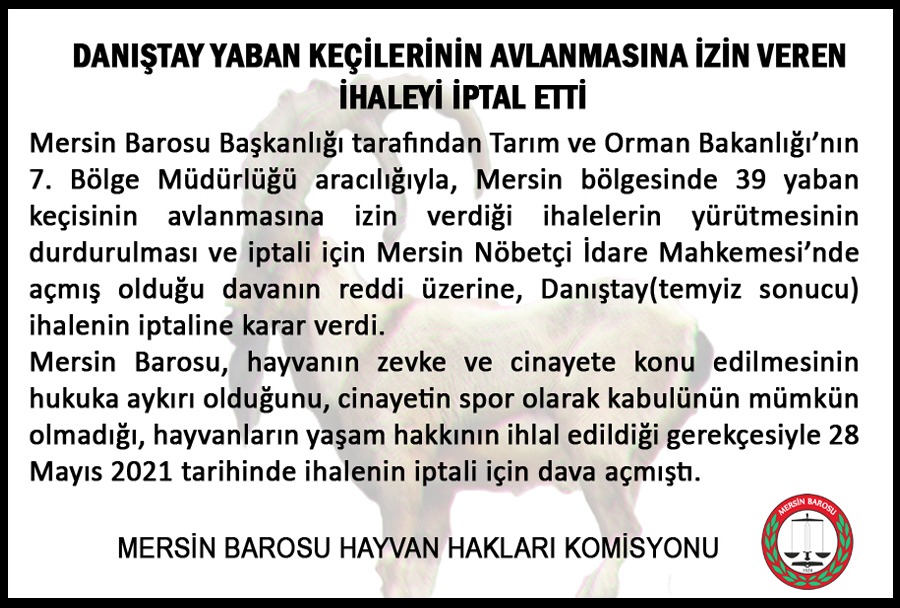 Danıştay, yaban keçilerinin avlanmasına izin veren ihaleyi iptal etti👇