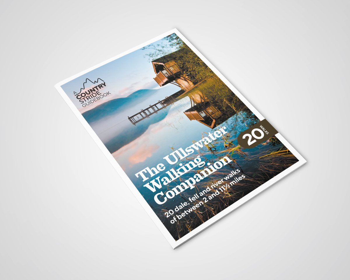 Countrystride tweet media