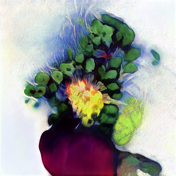 ✨Blossom- The hidden beauty! Never judge a book by its cover !!! ✨📕

Like 👍 + Follow 🙌 @Pavelart7 + 🔁 Retweet 

Click here to find out:
opensea.io/assets/0x495f9…

#NFTCommunity #NFTs #nftart #NFTartist #OpenSeaNFT #NFTdrop #NFTProject #artwork #digitalartwork #NFTsales #art
