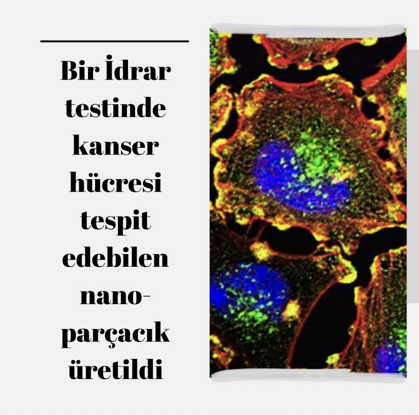 VeTekno's tweet photo. #cell #Science #nano #Cancer https://t.co/TmVs9gdNzR