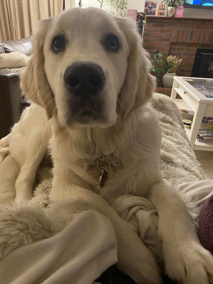 Hello new frens 👋🏻😊 I’m still learning about person space 😂