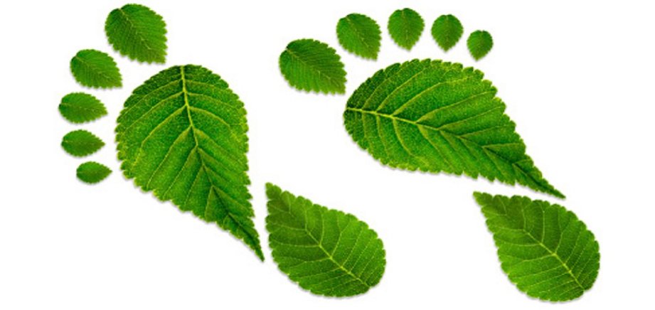 Procuremos siempre que nuestros actos dejen una huella verde en el camino #CaracasEcológica #SupraCuidaCaracas  #CuídateDeLaCovid19 <a href="/NicolasMaduro/">Nicolás Maduro</a> <a href="/NestorLReverol/">Néstor Reverol</a> <a href="/gestionperfecta/">Carmen Meléndez</a>
<a href="/Joselopezpsuv/">José Alberto López</a> <a href="/EmilyCaroVzla/">🇻🇪 𝐄𝐦𝐢𝐥𝐲 𝐂𝐚𝐫𝐨 #𝐕𝐞𝐧𝐞𝐳𝐮𝐞𝐥𝐚</a>