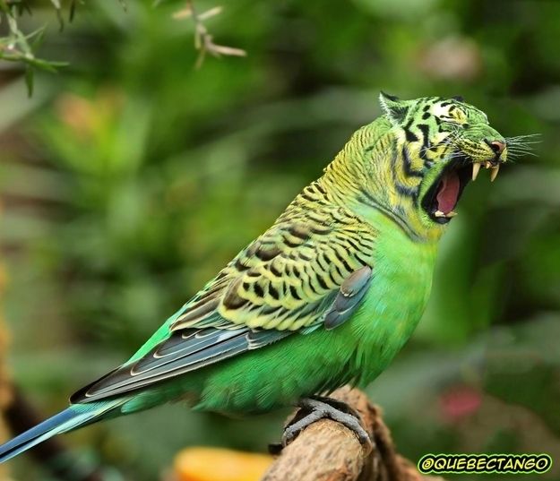 Asfandy89903884's tweet image. For more: fiverr.com/share/DokRkP

#womenintech #Python #100DaysOfCode #becchi #photography #photo #photoshopediting #Logo #LogoDesign #ConvoyToCanberra #voice_of_UPSRLM_staff #COVID19 #Freelance #freelancing #BudgetBytes #COVID19 #Fiverr