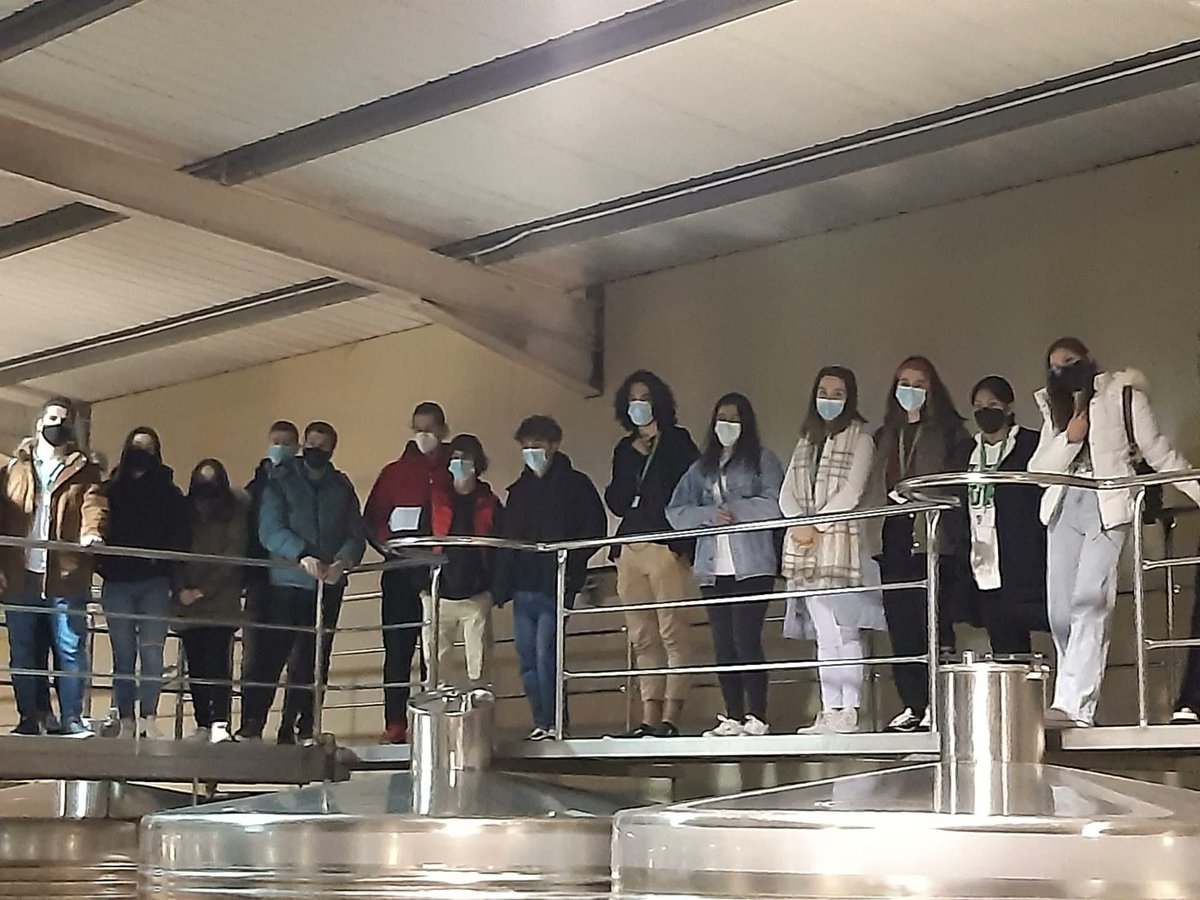 ALOYA Centro de Estudios Superiores tweet media