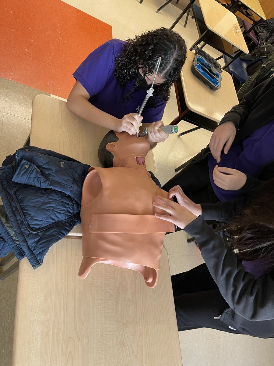 NDPrincipalMF's tweet photo. Amazing things happening in Ms Rattrays TPJ3M with Dr. Shawn Mondoux - ER doc #carotid #eyeball #intubate #healthcare #stfx #milton #hcdsb @DrShawnMondoux @Missrattray https://t.co/GDp5xLuGST