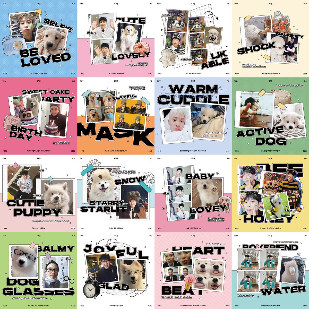 tiny__po's tweet image. 지훈 씨에게 귀여운 기념첩을 만들어 드렸습니다.지훈니가 얼마나 귀여운지 알 수 있게 해줬으면 좋겠어요. 정말 좋아해요.생일 축하해고 새해 복 많이 받으세요! 🥳

 #2월의_꽃이_피오씁니다
#피오 #표지훈